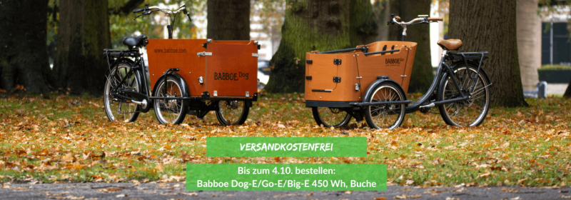 Sofort verfügbares Lastenrad, versandkostenfrei bestellen, Babboe Dog-E Go-E Big-E 450 Wattstunden